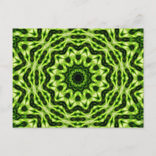 Kiwi Kaleidoscope Vykort