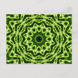 Kiwi Kaleidoscope Vykort