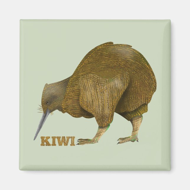 Kiwi N.Z. Bird Magnet (Framsidan)