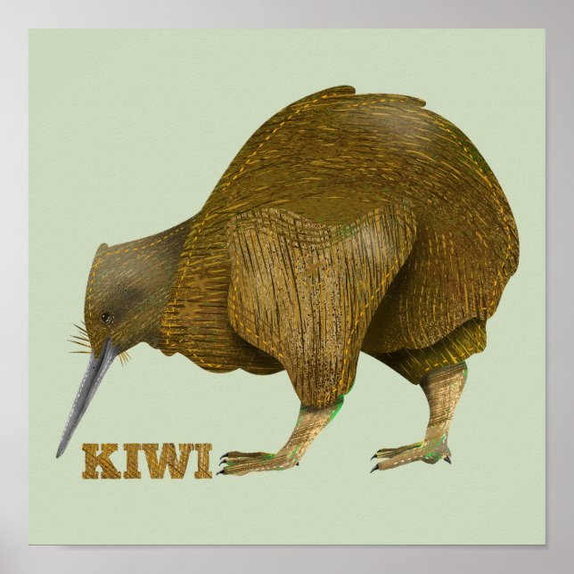 Kiwi N.Z. Bird Poster (Framsidan)