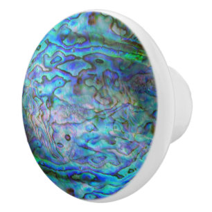 KIWI NEW ZEALAND PAUA KNOPP