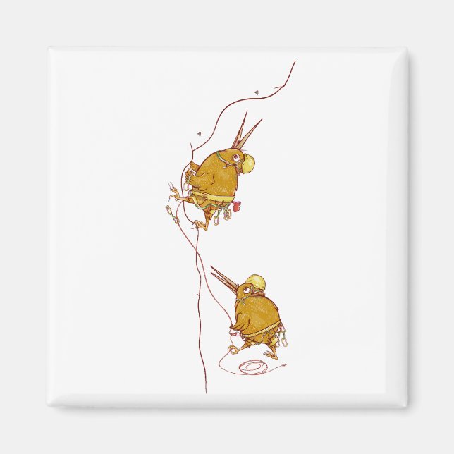 Kiwi NZ BIRDS STEN CLIMBING Magnet (Framsidan)