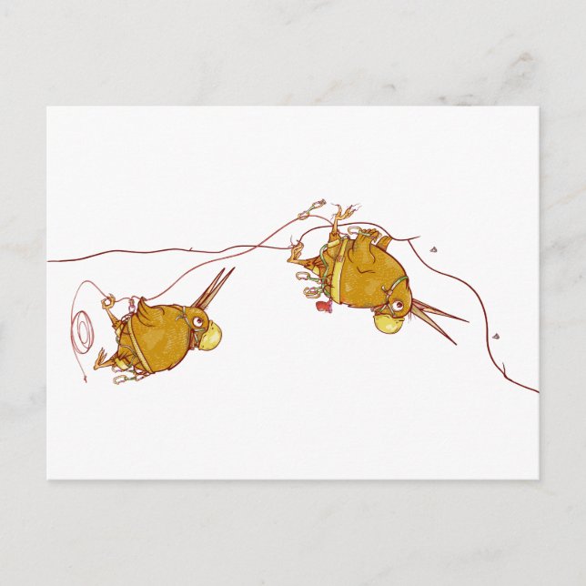 Kiwi NZ BIRDS STEN CLIMBING Vykort (Framsida)