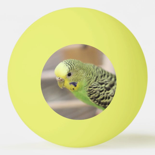 Kiwi Pingisboll (Framsidan)