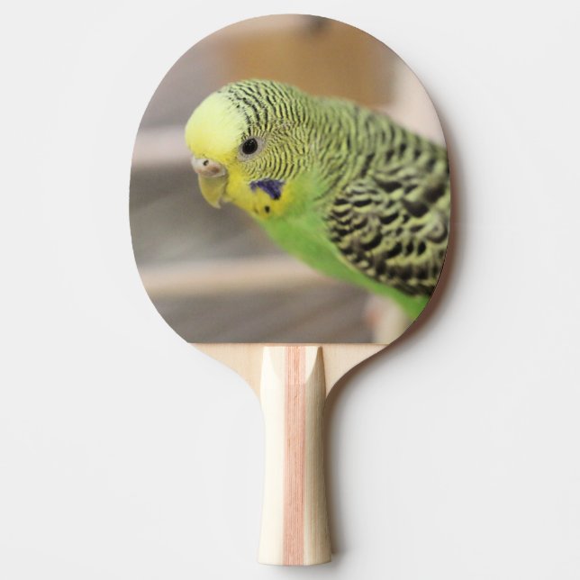 Kiwi Pingisracket (Framsidan)