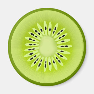 Kiwi Stylized Fruit Slice Magnet