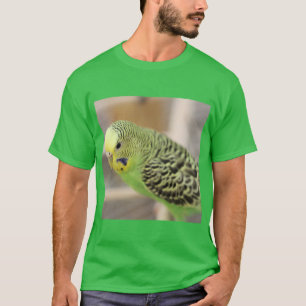 Kiwi T Shirt