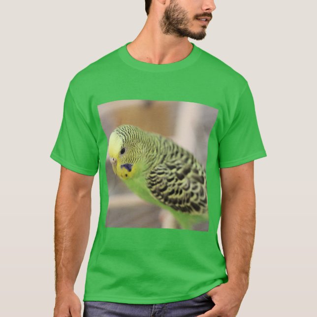 Kiwi T Shirt (Framsida)