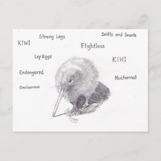 Kiwi ut för en promenad vykort