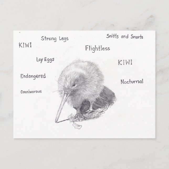 Kiwi ut för en promenad vykort (Framsida)