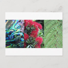 Kiwiana fern paua pohutukawa vykort