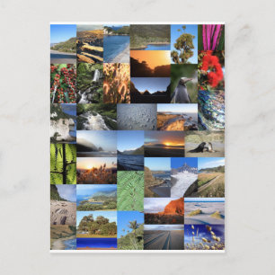 Kiwiana Nya Zeelands naturardsmontage Vykort