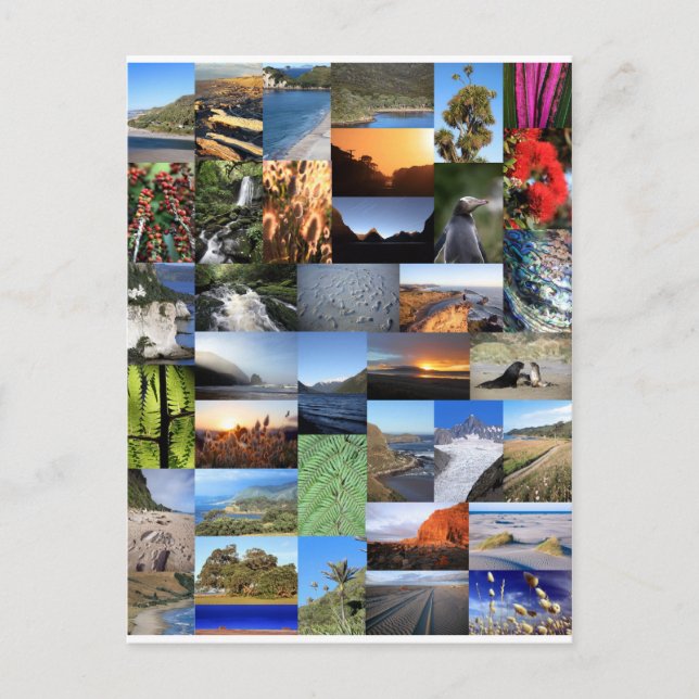 Kiwiana Nya Zeelands naturardsmontage Vykort (Framsida)