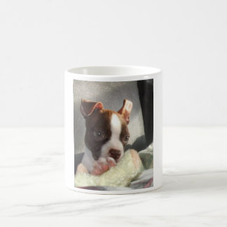 Kiwimugg II Kaffemugg