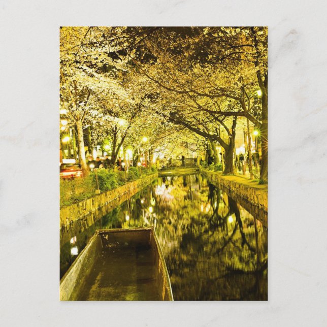 "Kiyamachi Street in Sakura Glow Vykort (Framsida)