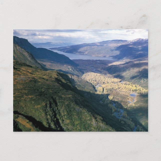 Kizhuyak Bay, Kodiak Vykort (Framsida)