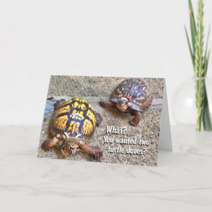 Kjulturtlar Kort
