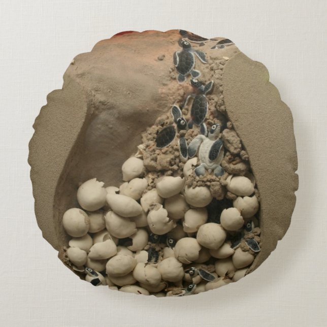 Kläcka för babysköldpaddaägg rund kudde (Framsidan)