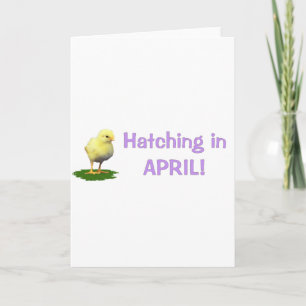 Kläckande i april! Moderskap/gravida som förfaller Meddelande