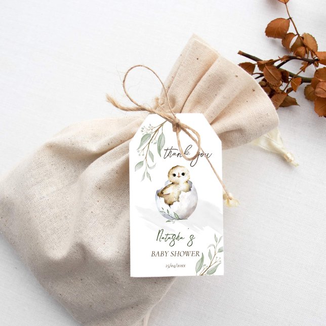 Kläckande snart till babyduschen i fågel vår presentetikett (Hatching soon bird spring baby shower favor gift tags thank you favor tags cute baby owl inside egg)