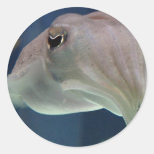 Kläckfisk Runt Klistermärke