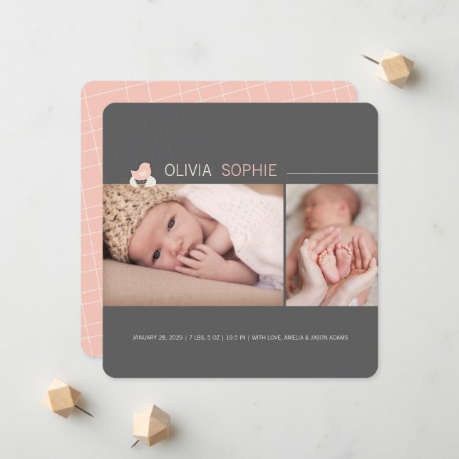 Kläckt ägg Baby Chick Birth Birth-meddelande Meddelande (Fram/Back In Situ)