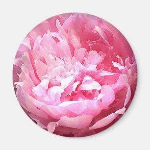 Kläckt rosa pion magnet