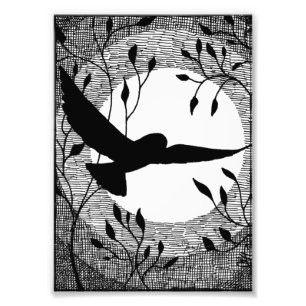 Kläckt uggla- och månekor fototryck