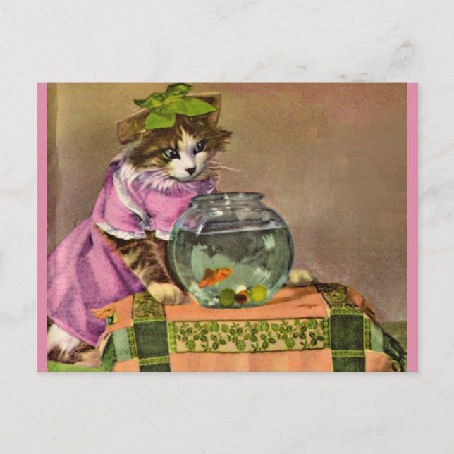 klädd katt och fiskskål vykort (Framsida)