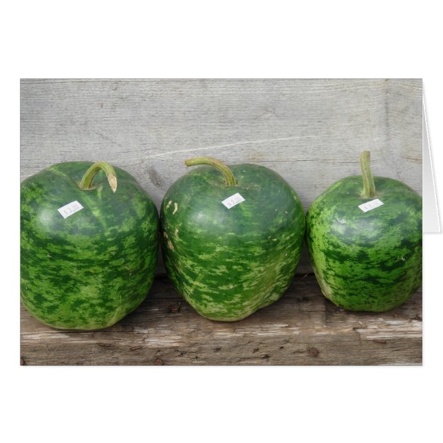 Kläder i en rad hälsningskort (Framsidan Horizontal)