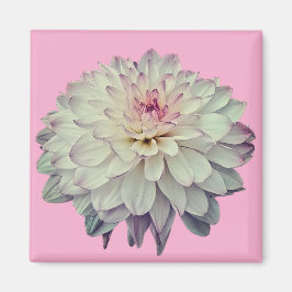 Kläder och rosa magnet