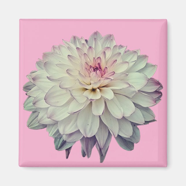 Kläder och rosa magnet (Framsidan)