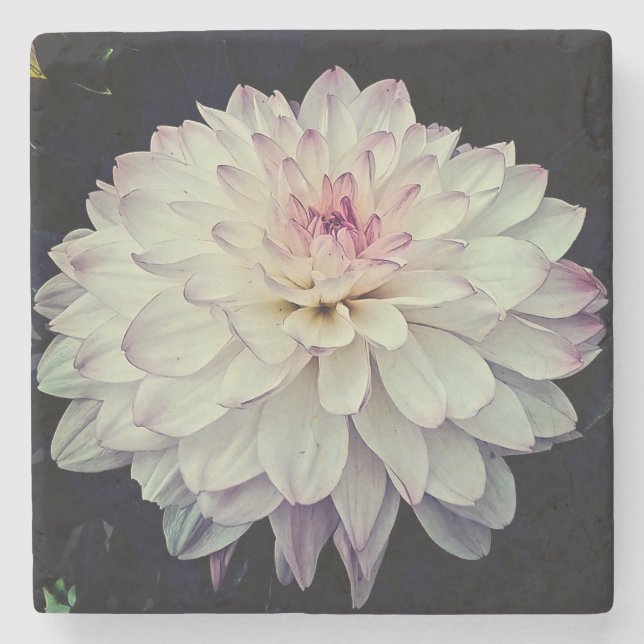 Kläder och rosa stenunderlägg (Framsidan)