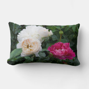 Kläder och Rosa Streaked Ro Lumbar Pillow Lumbarkudde