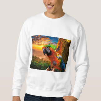 Kläder och skor > Manar > Kläder > Kläder & kläder Lång Ärmad Tröja