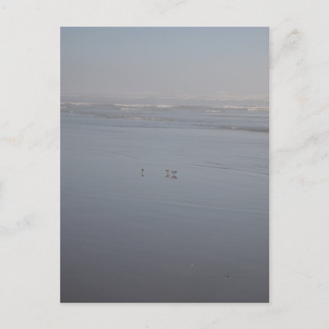 Klalaoch & Birds Vykort (Framsida)