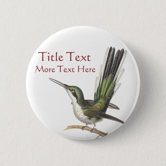 Klämmer fast knäppas den gröna hummingbirden för knapp (Framsida)