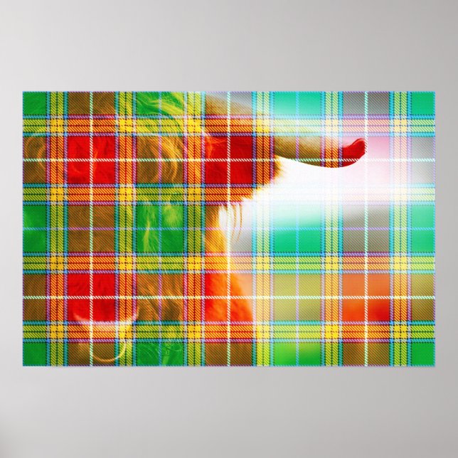 Klan Baxter Tartan & Hairy Coo Poster (Framsidan)