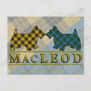 Klan MacLeod Tartan Scottie Hundar Vykort