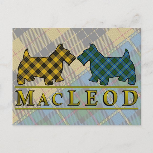 Klan MacLeod Tartan Scottie Hundar Vykort (Framsida)