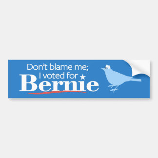 Klandra inte mig; Jag röstade för Bernie Bildekal