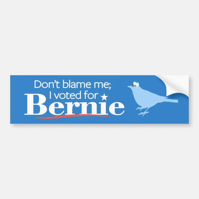 Klandra inte mig; Jag röstade för Bernie Bildekal (Framsidan)