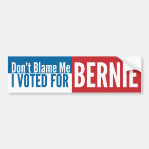 Klandra inte mig som jag röstade för Bernie Bildekal