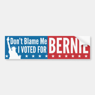 Klandra inte mig som jag röstade för Bernie Bildekal
