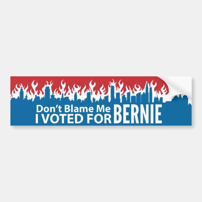 Klandra inte mig som jag röstade för Bernie Bildekal (Framsidan)