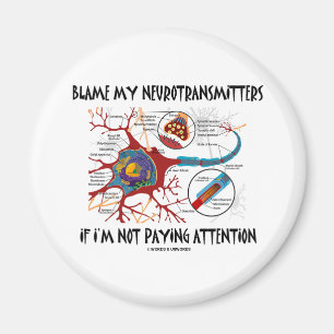 Klandra min Neurotransmitters, om betala inte Magnet