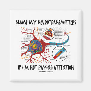 Klandra min Neurotransmitters, om betala inte Magnet