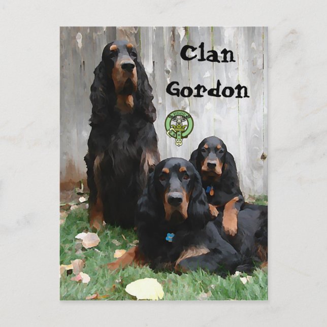Klane Gordon, Gordon Setter-målning vykort (Framsida)