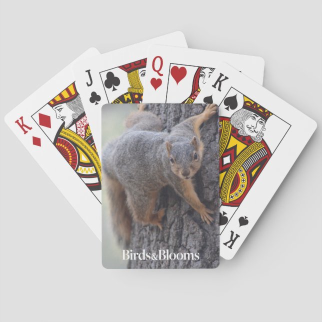 Klängande ekorre casinokort (Baksidan)