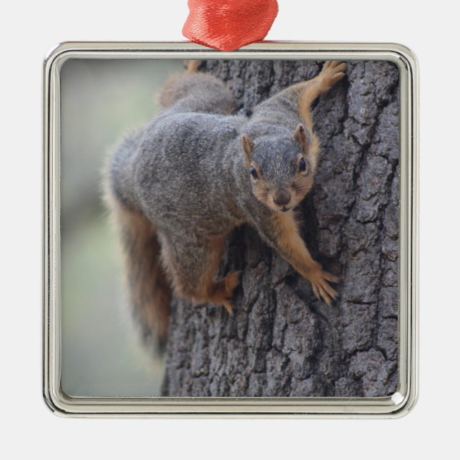Klängande ekorre julgransprydnad metall (Framsidan)